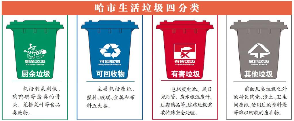 排骨炖豆角里藏着垃圾分类误区