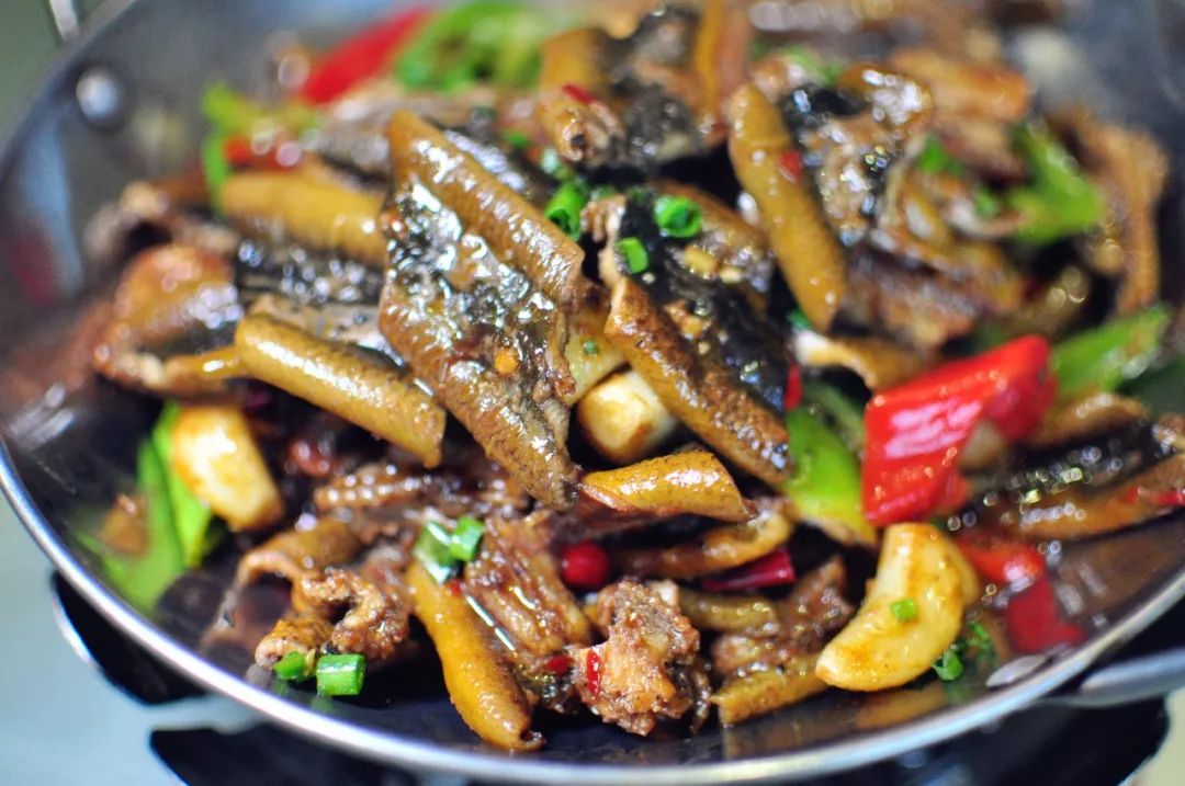 原创说说中国那些好吃的鳝鱼与人为善也喂鳝鳝哉善哉