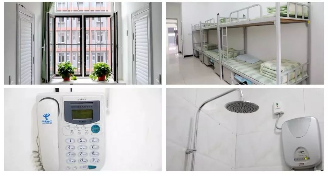 衡水志臻清河校区正在招生.