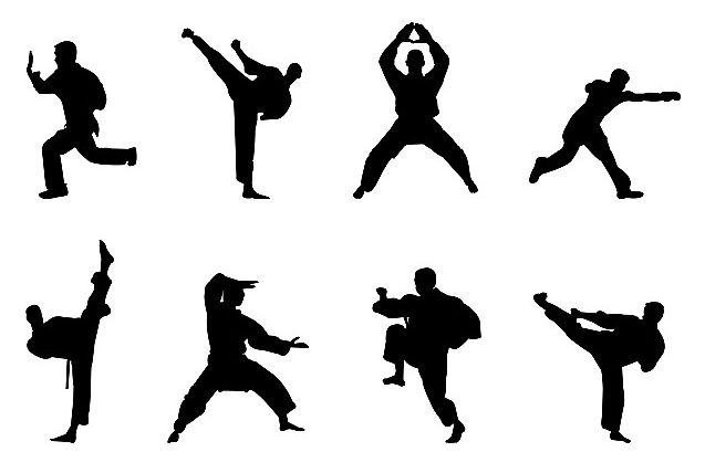 中华武林百杰之"大鹏展翅"蔡鸿祥_武术