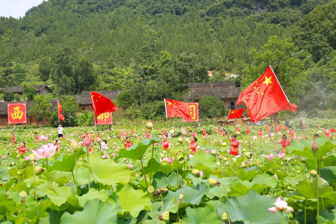 映日荷花别样红"西那司,一个隐秘在永顺县泽家镇的"世外桃源"