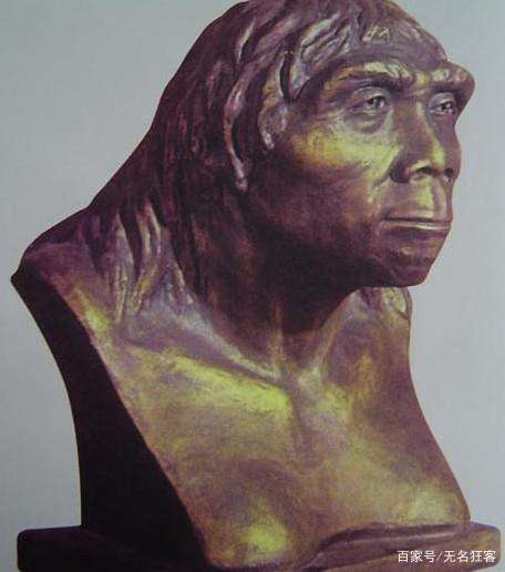 生存还是毁灭1300多种动物存在同类相食北京猿人可能是食人族