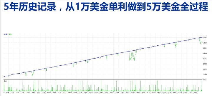 外汇交易中的马丁与对冲的完美结合附五年盈利图