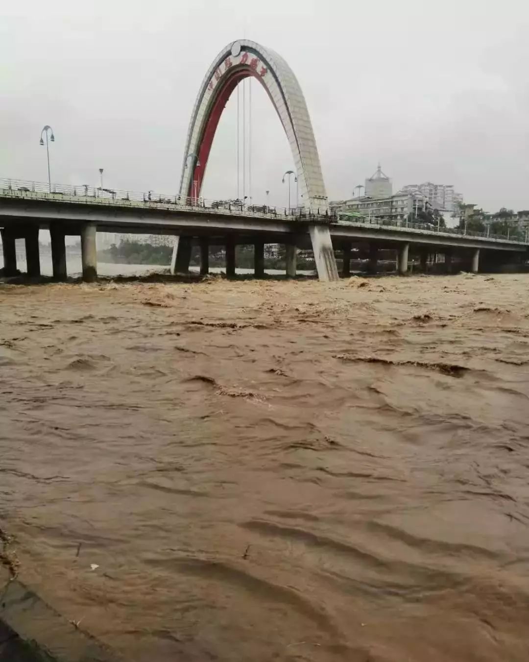 四川雅安暴雨图片