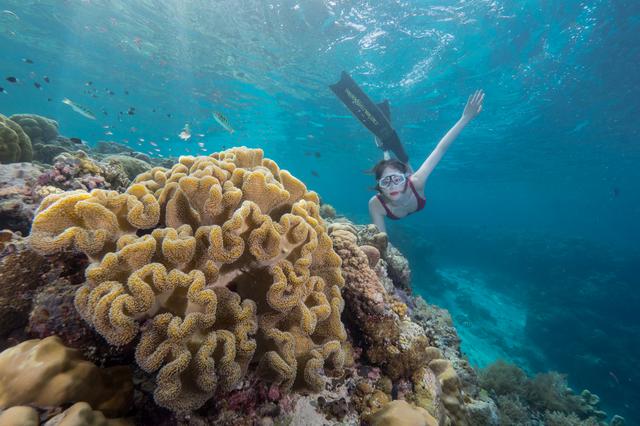 做一条大海里的manta