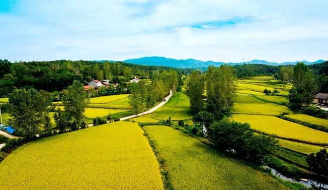 由"大"到"强",随县农业十年蝶变历程