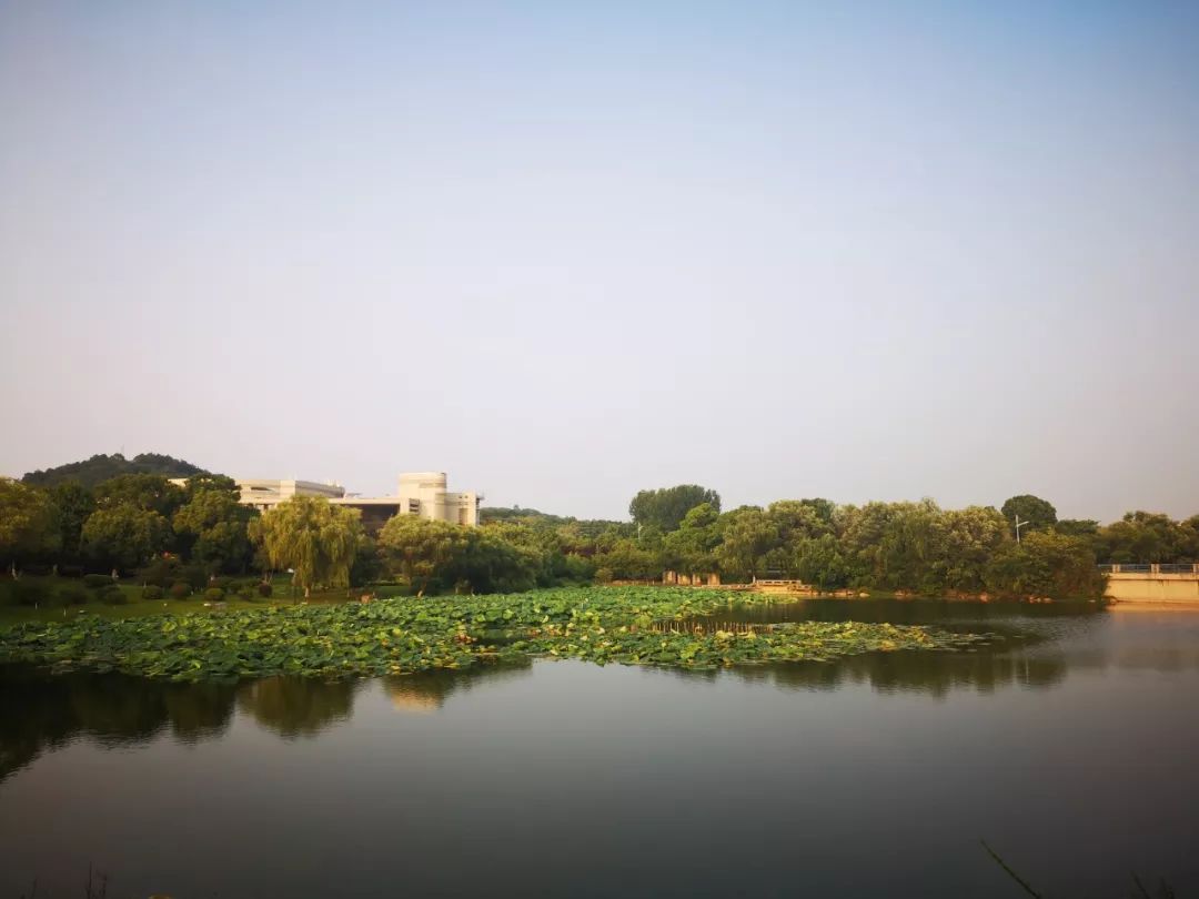 大暑| 夏记南邮有点甜