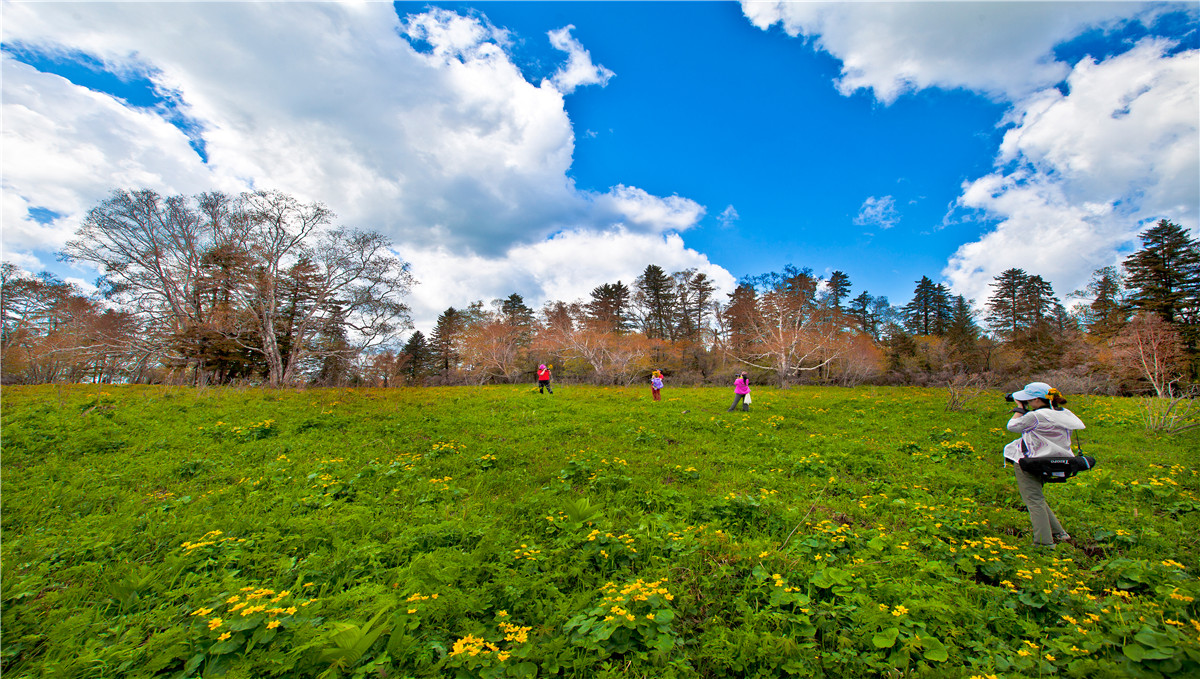 长白山森工集团八家子林业仙峰盛景雪岭春季风光