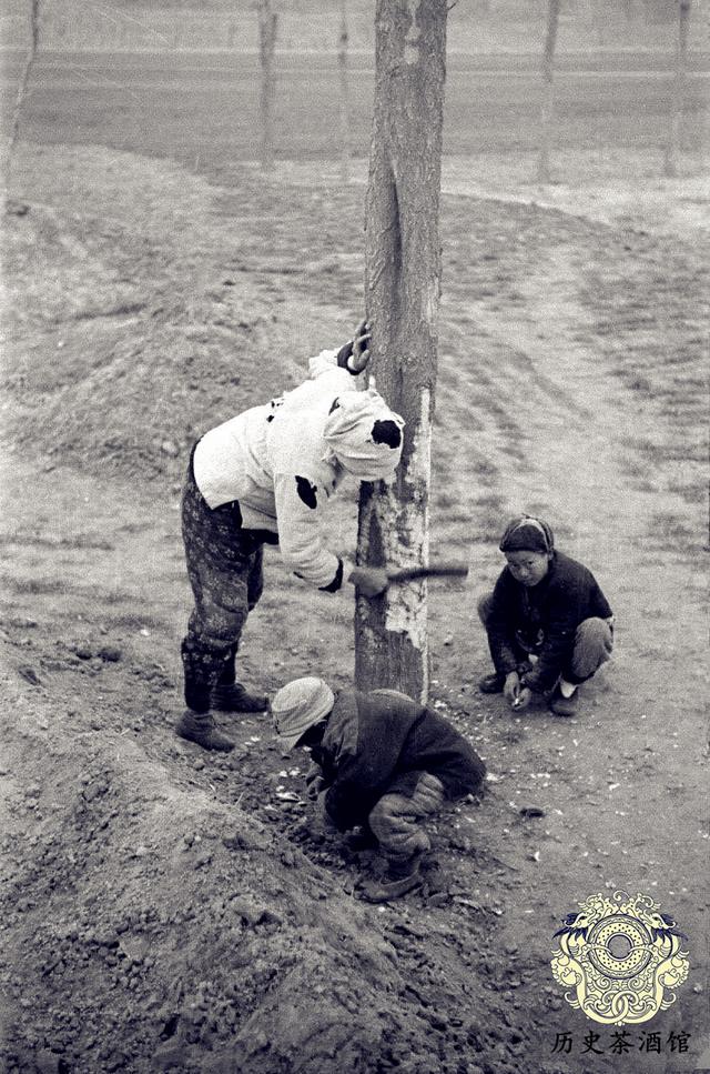 老照片再现40年代的河南大饥荒饿殍遍野路边野狗却胖了一圈