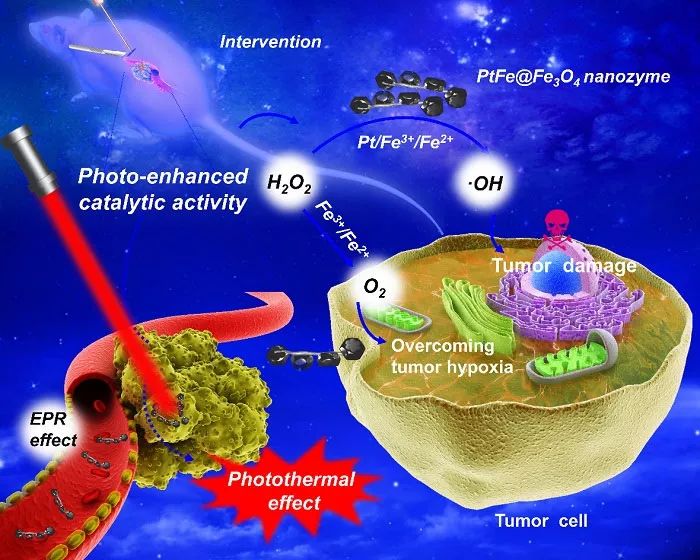 angewchem具有近紅外光增強催化活性的納米酶用於深部胰腺癌的高效