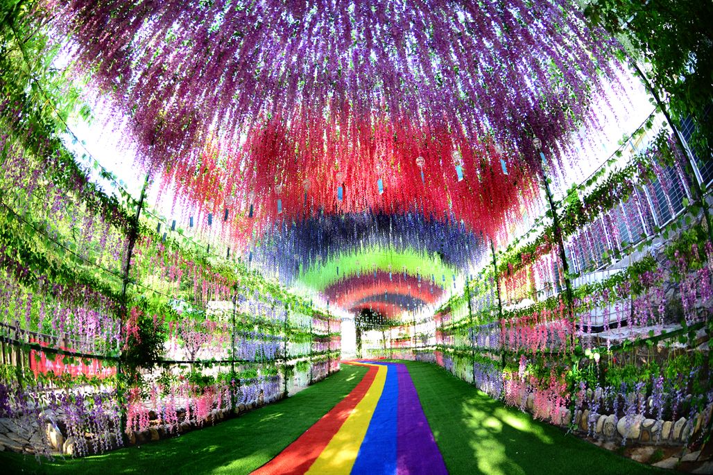 来了来了他们真的来了一大波世界健美健身冠军将现身蒙山