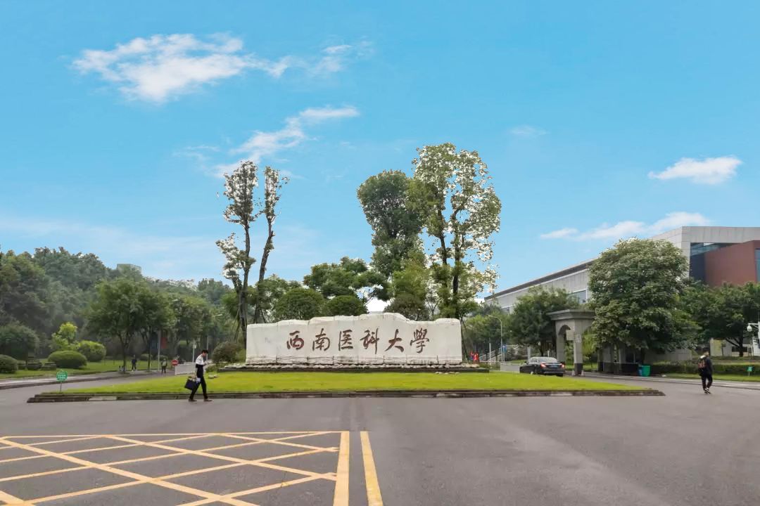 西南医科大学(城北校区)泸州大学城设立在龙马谭区城北,对于龙马潭人