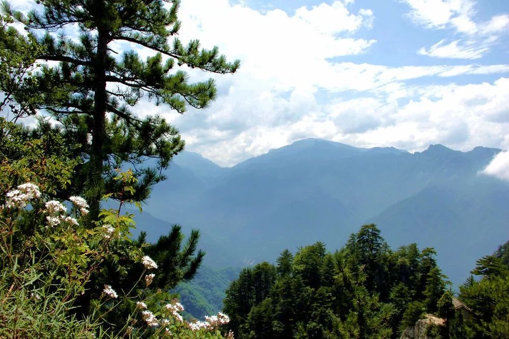 7月28日黑沟登顶朝阳峰观奇峰秀岭