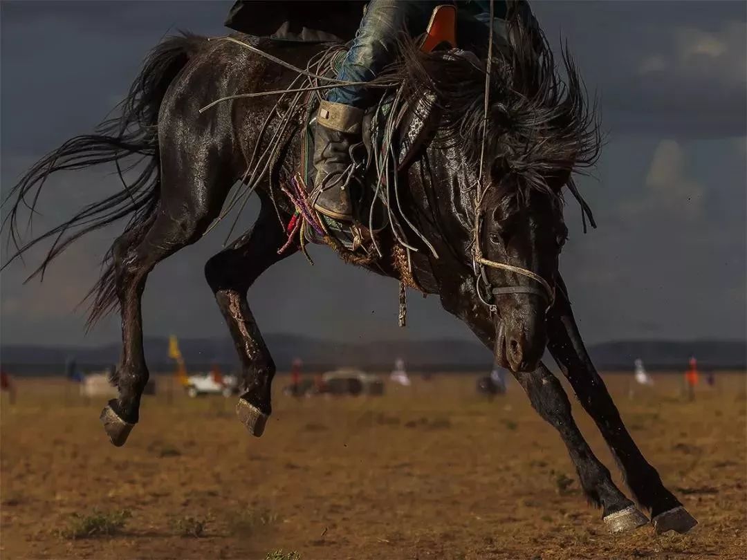 而当今只有在那达慕盛会上,才能看到完整的驯马表演项目.