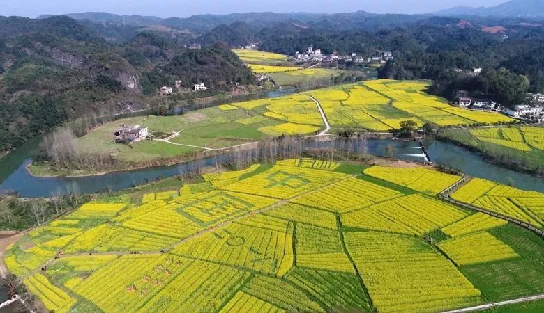 美麗鄉村丨城鄉協調發展背景下的鄉村振興