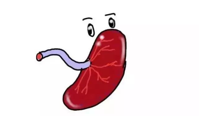 Our Regular Customer From Brazil Ordered Peptides | BLOOM TECH