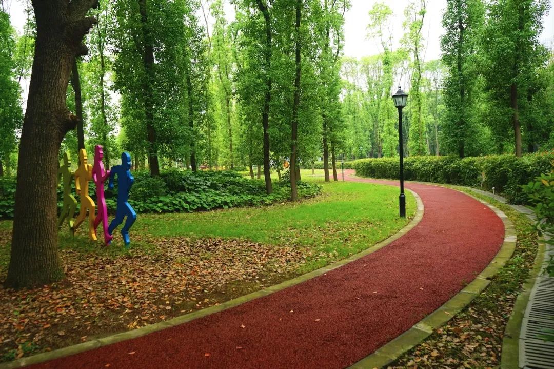 闵行59条健身步道都在这里了一路赏尽绿荫繁花家门口的林间小路等你来