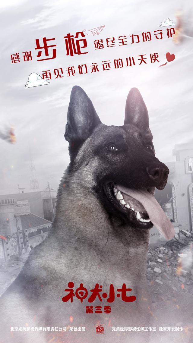 神犬小七3救援英雄维系感情这些萌宠真让人上头
