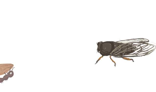 伴随着阵阵蝉鸣19年的盛夏正式来临啦不管多炎热记得有小海陪你哦欢乐