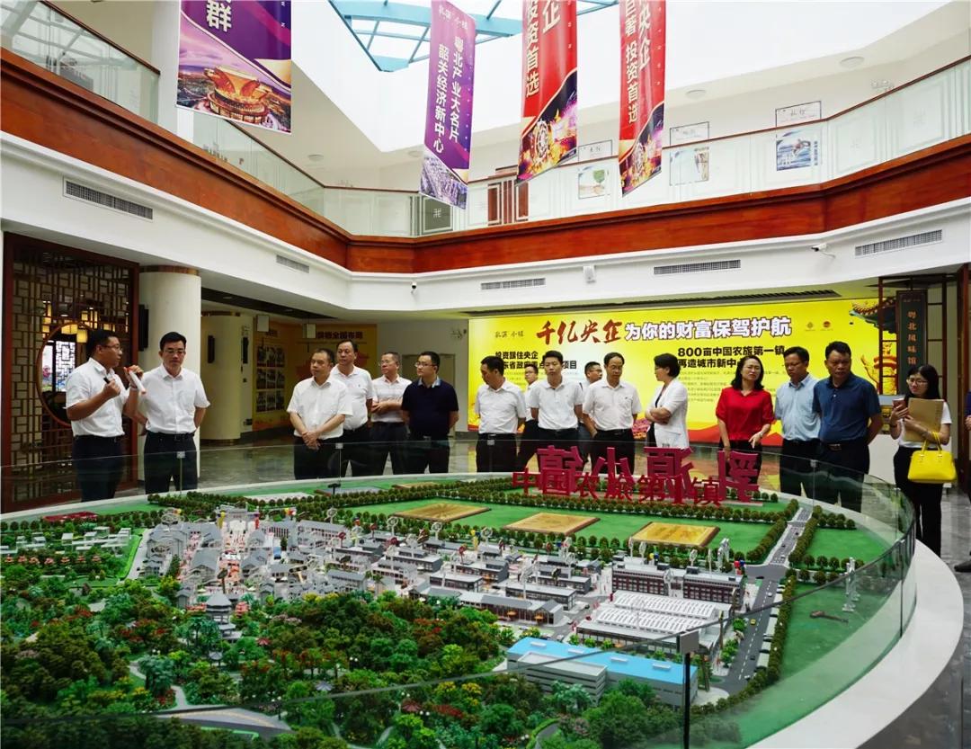 韶关市委副书记新丰县委书记陈波一行莅临乳源小镇项目考察