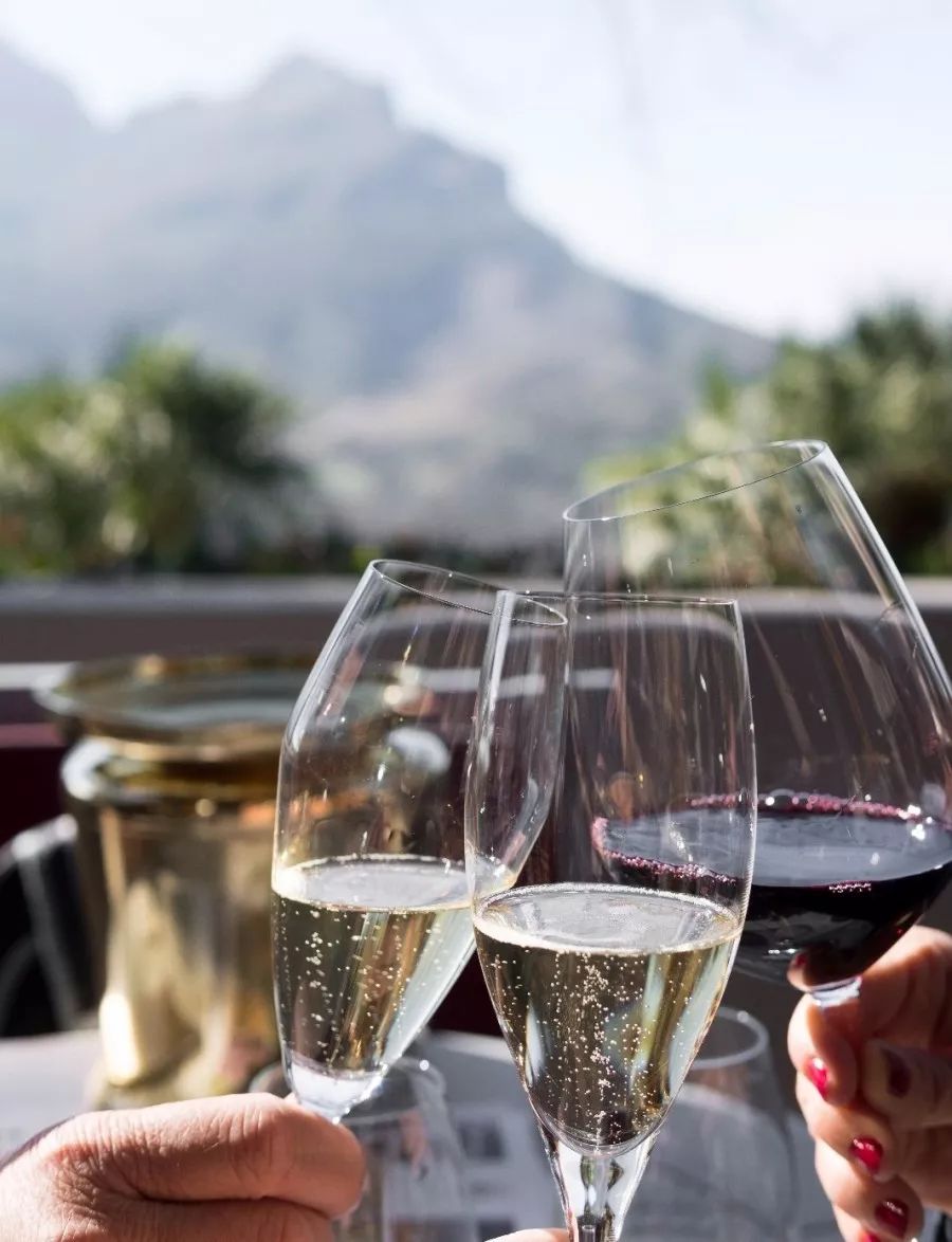 骏德词典酒艺残糖residualsugar