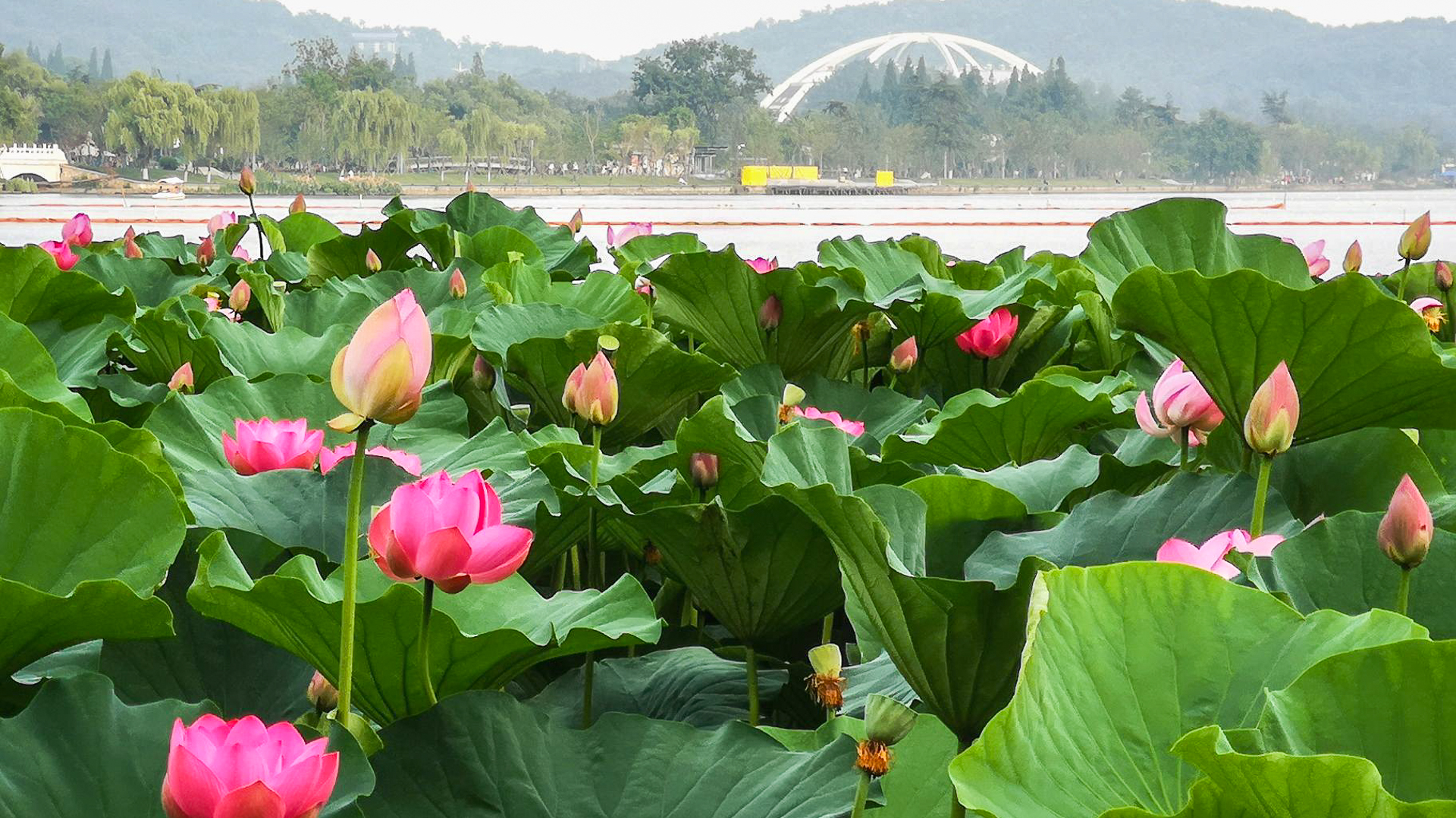 清水湾自由鹿游艇俱乐部等多个景区，游客好评如潮