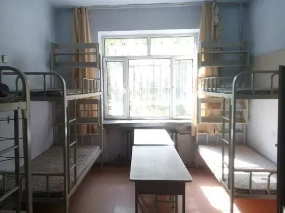 哈工大各公寓情况简介