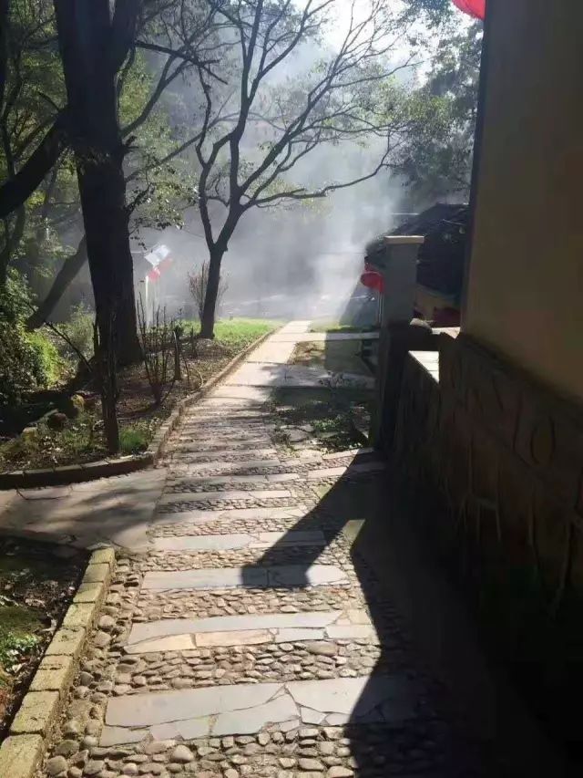 其林木苍翠,遮天蔽日福缘山庄位于曲靖至潇湘乡政府4公里路旁(原龙溪