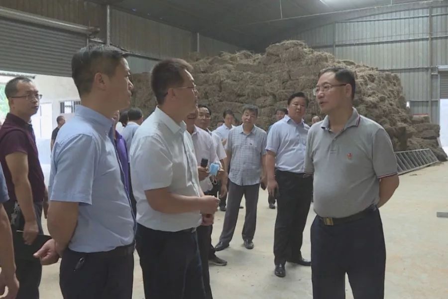 县领导牛中原,王朝阳,王少波,周晋育,翟常绪,吉啼