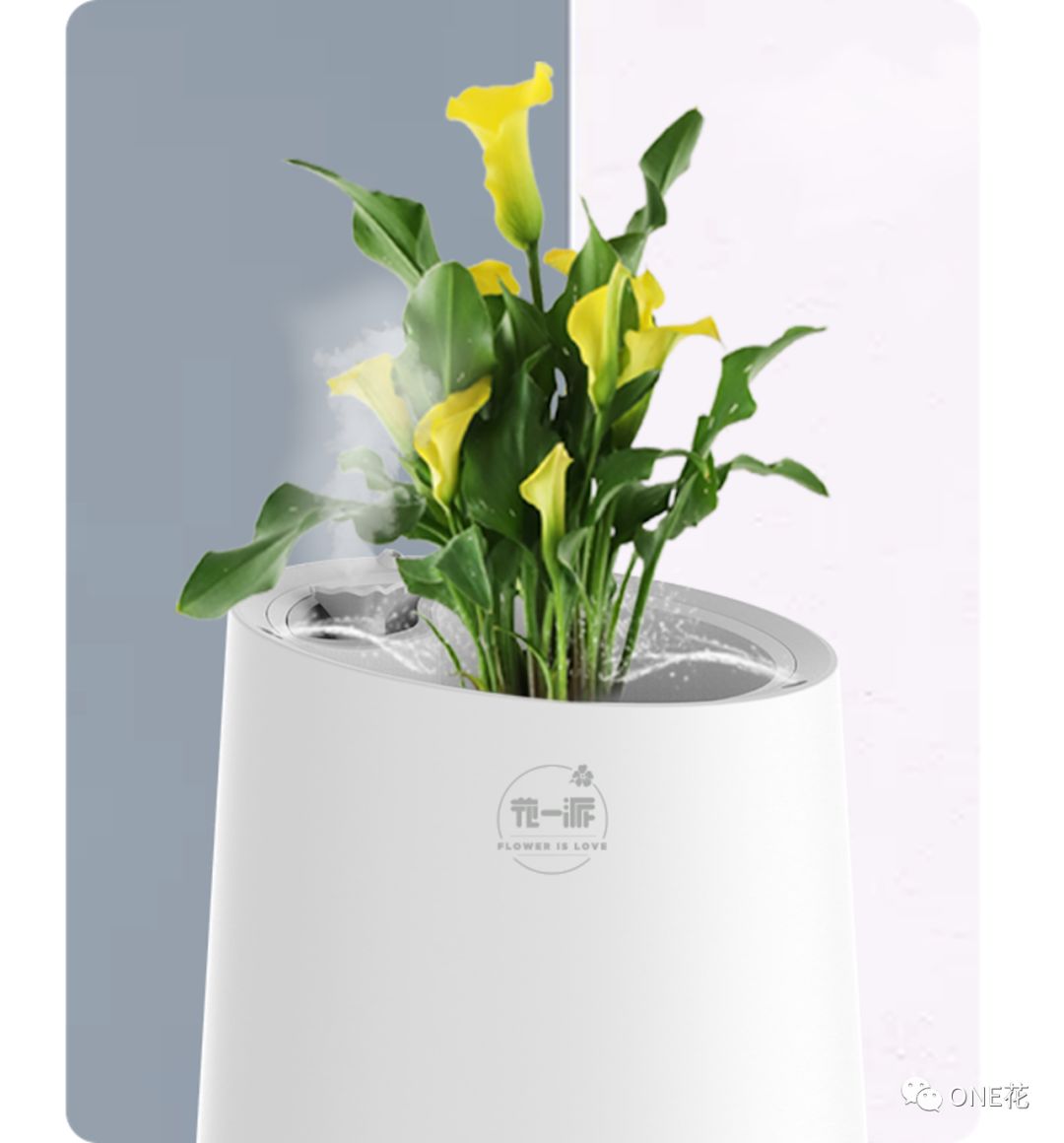 "智能养花?花盆能远程还是自动地给花浇水!