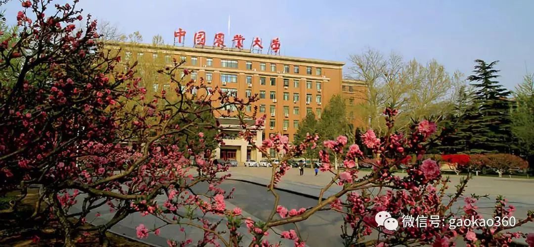 北京林业大学,今年理工投档线492分,仅比2019年黑龙江理科一本线高15