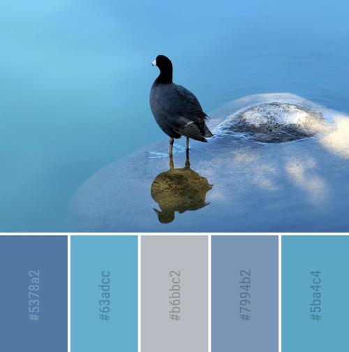 一波配色方案风景如画的色彩搭配