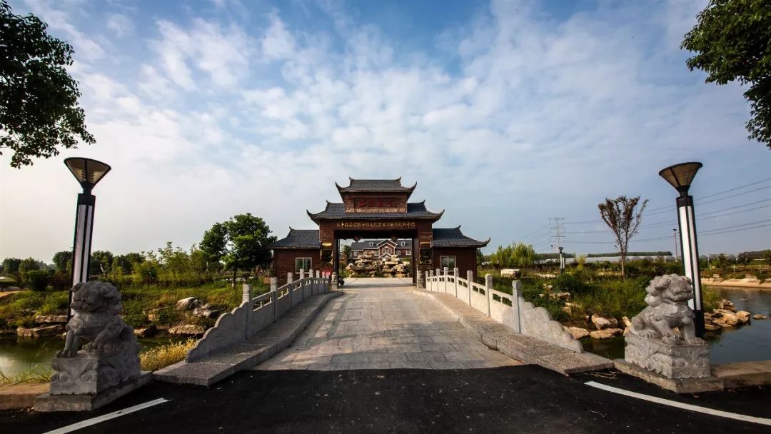 啥情况庄墓突然来了一批人走走看看拍下照片传到网上有近三十万人看