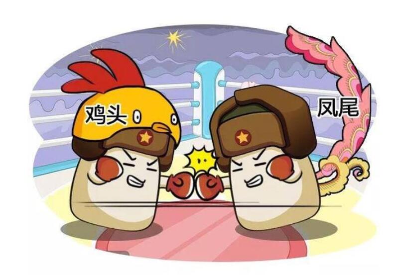 中考成绩出来后是选择鸡头呢还是凤尾?