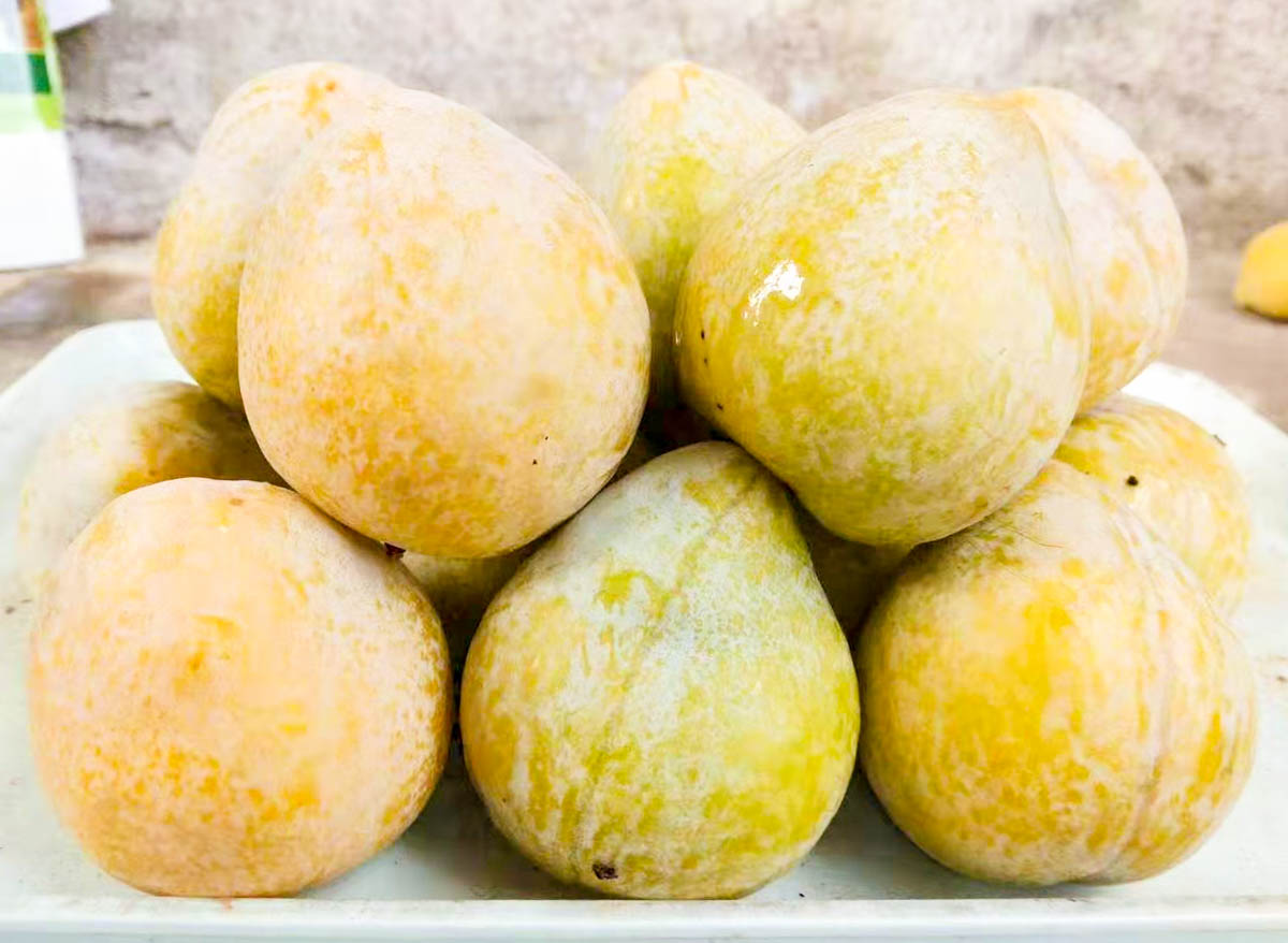 湖南省有一个横江村在村边的果园里我吃到了这辈子最好吃的李子