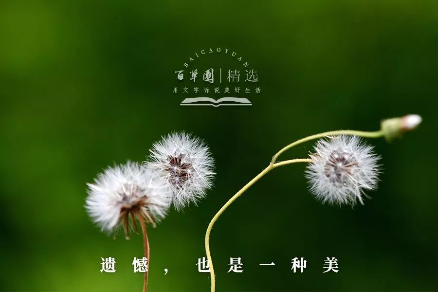 夜读遗憾也是一种美