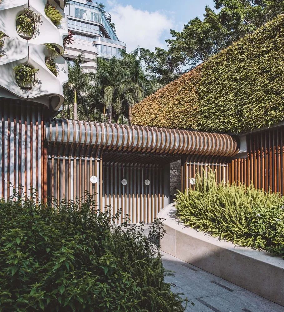 倾斜的屋顶和种满绿植的白色景观墙,营造自然,动态的外观.