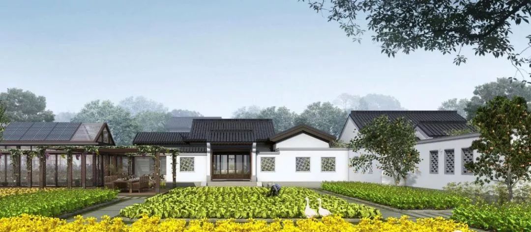 实施乡村振兴,嘉定要算好这三笔账