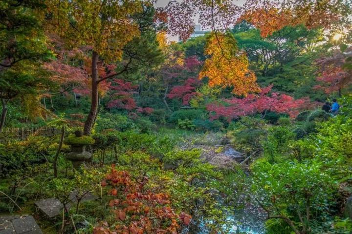 在日本东京青山想做的10件事ー咖啡厅美术馆购物等逛街指南