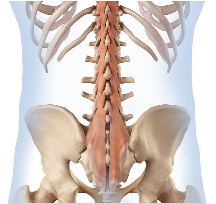 一套多裂肌脊椎运动缓解全身酸痛