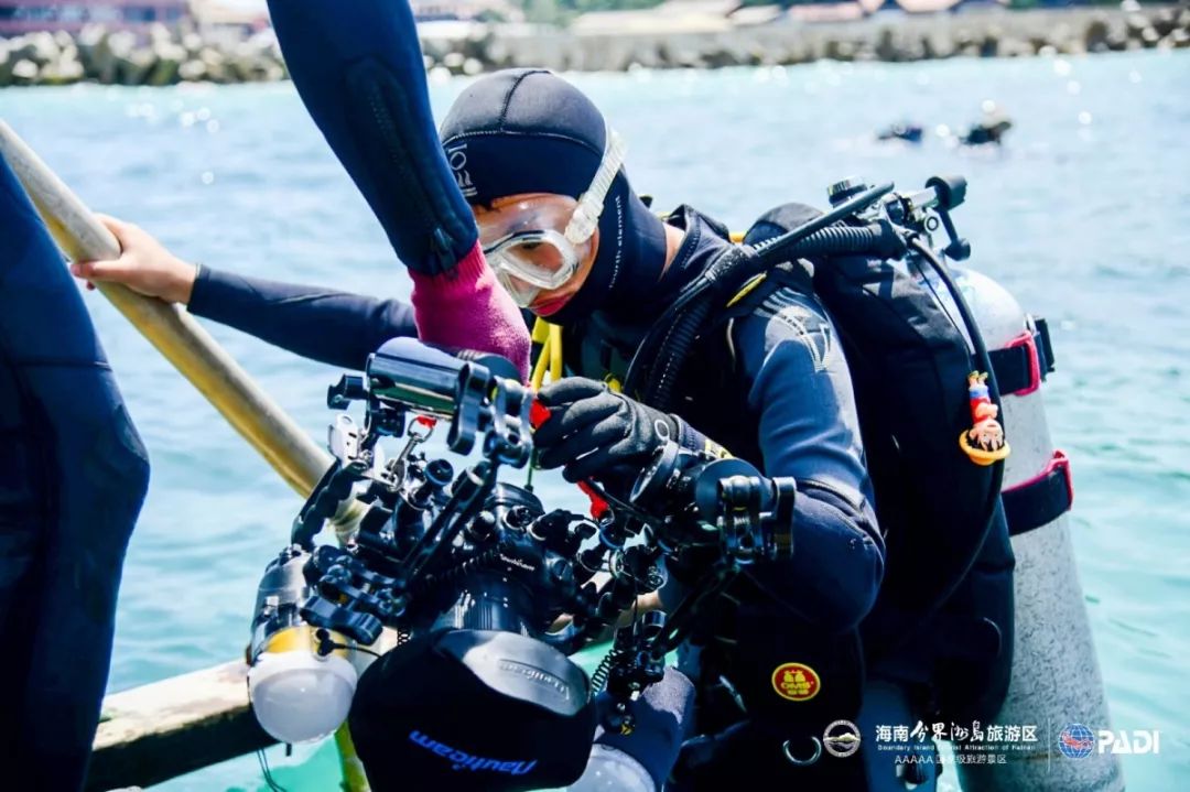 杨曜泽@周佳俊@zoe李雪@樊成@周佳俊@曾朝晖摄影比赛结果裁判由分界洲