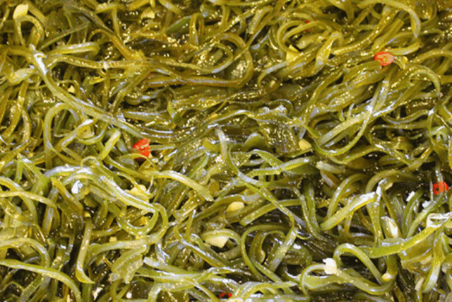 海带算是十分家常的一道凉菜了,蒜末和剁辣椒让清爽的海带更有味道