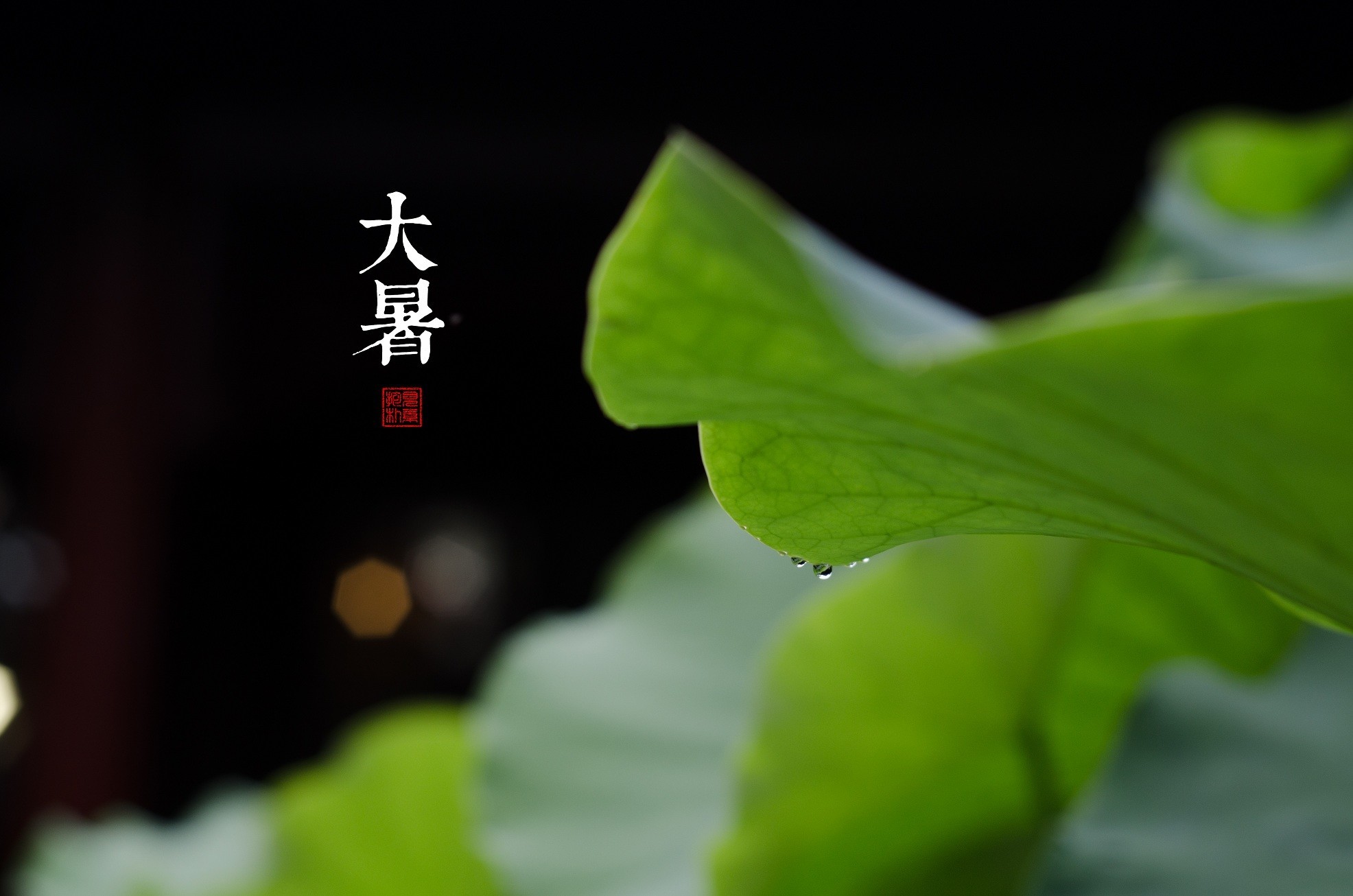 大暑都说夏日苦唯有你最甜