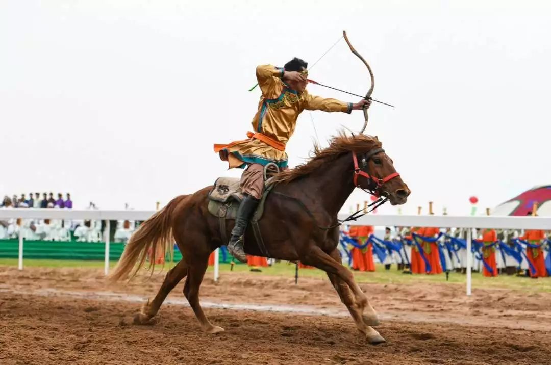 夏季那达慕 草原上的热烈风情_比赛