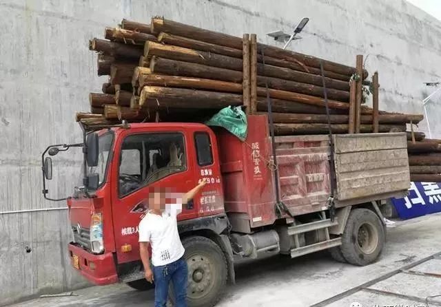 威信县双河乡双河村谢家坳公安检查站查获一车无木材运输证运输的木材