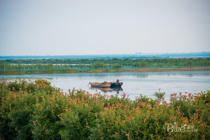 中國七大淡水湖之一的江蘇駱馬湖,落日漂亮湖鮮美味,遊客紛紛贊_美景