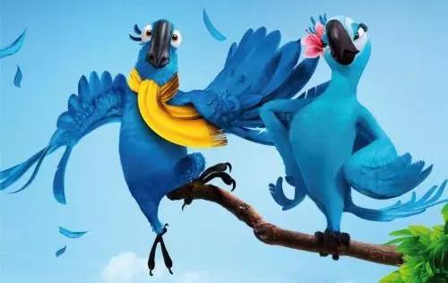 电影童期声拥有蓝色羽毛的鸟要团结在一起里约大冒险