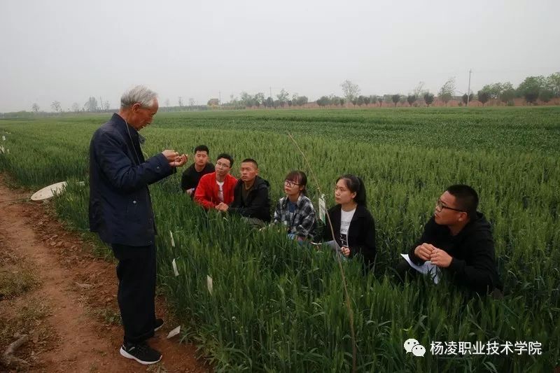 荣耀杨职丨赵瑜老师入围2019年全国教书育人楷模候选名单快来投票啦