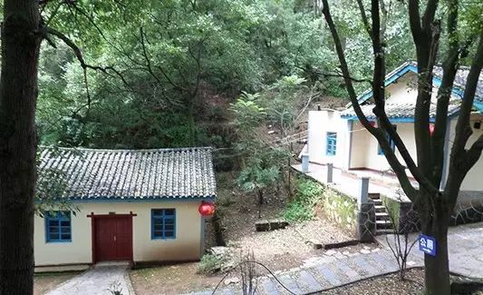 亭楼倚林鸟语花香,环境雅致其林木苍翠,遮天蔽日福缘山庄位于曲靖至