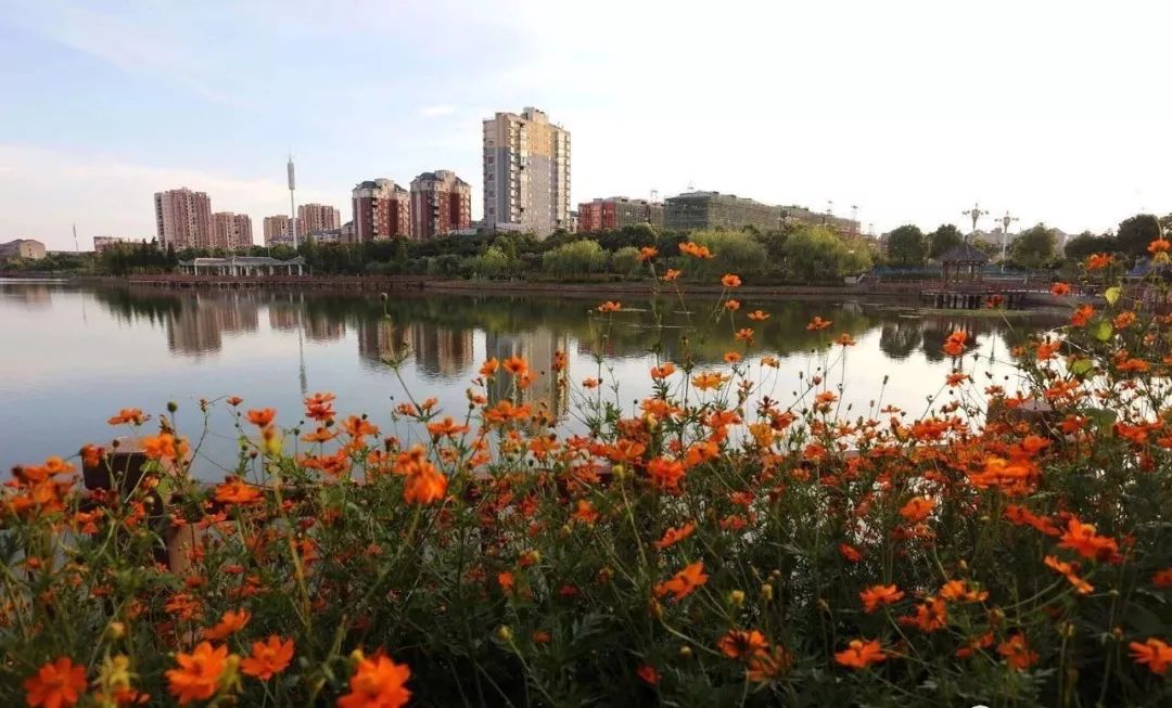 东乡区地处赣东丘陵与鄱阳湖平原过渡地带,是赣东地区的重要交通枢纽